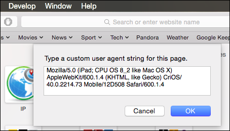 ввод произвольного user agent в Safari